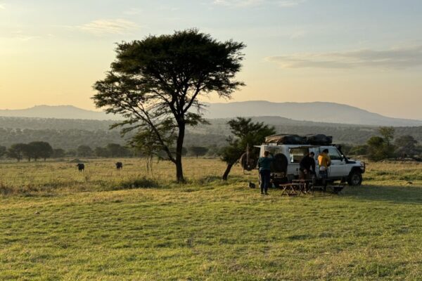 Self Drive Serengeti Self Drive Serengeti