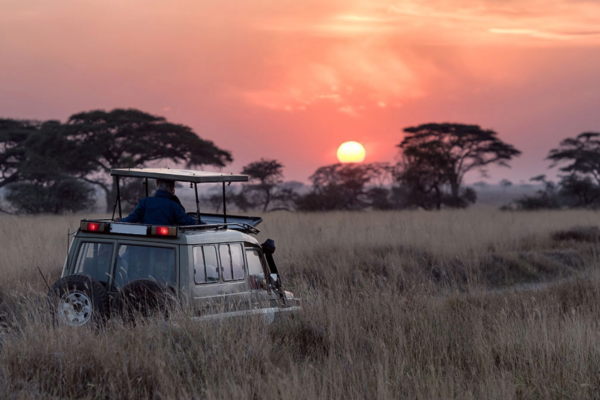 Self Drive Serengeti Self Drive Serengeti