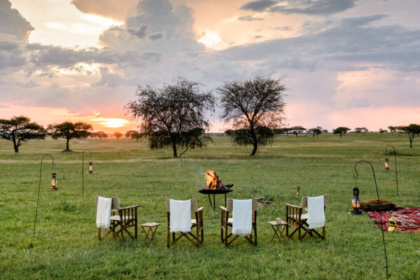 Serengeti Safari Tour Serengeti Safari Tour