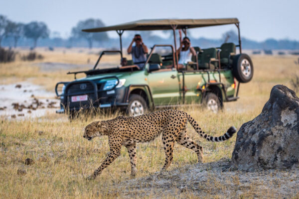 Serengeti Safari and Victoria Falls Serengeti Safari and Victoria Falls