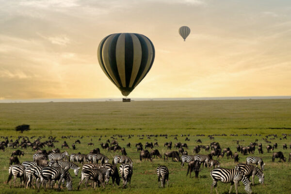 Serengeti and Ngorongoro Serengeti and Ngorongoro