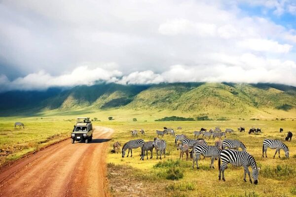 Serengeti and Ngorongoro Serengeti and Ngorongoro