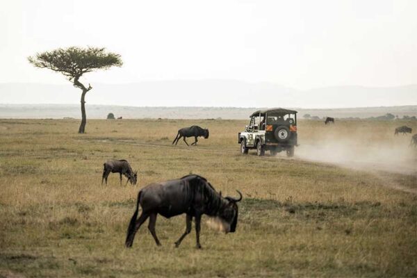 Uganda and Tanzania Uganda and Tanzania