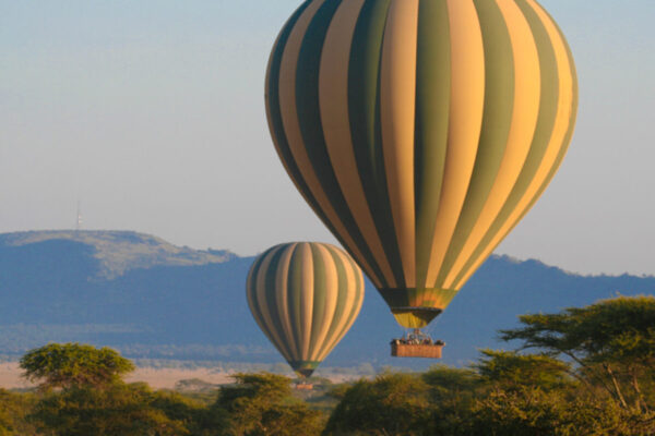 Volcanoes and Serengeti Volcanoes and Serengeti