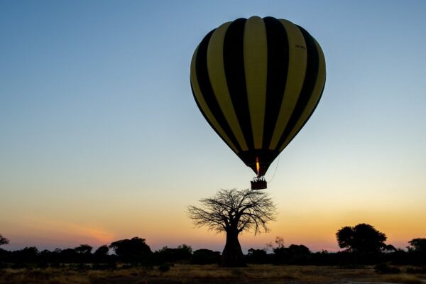 serengeti balloon serengeti balloon