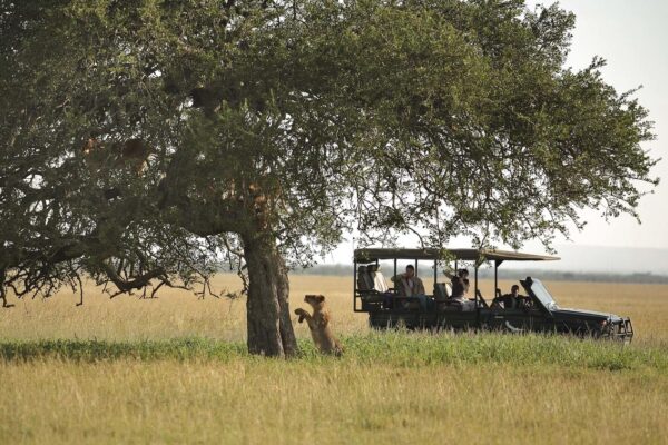 Tanzania Safari From Toronto Tanzania Safari From Toronto