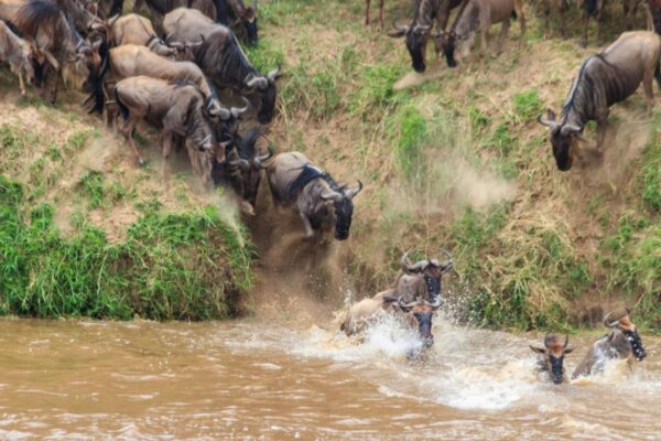 7-Day Serengeti Migration Safari 7-Day Serengeti Migration Safari